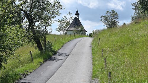 Immagine gratuita di albero, campagna, country