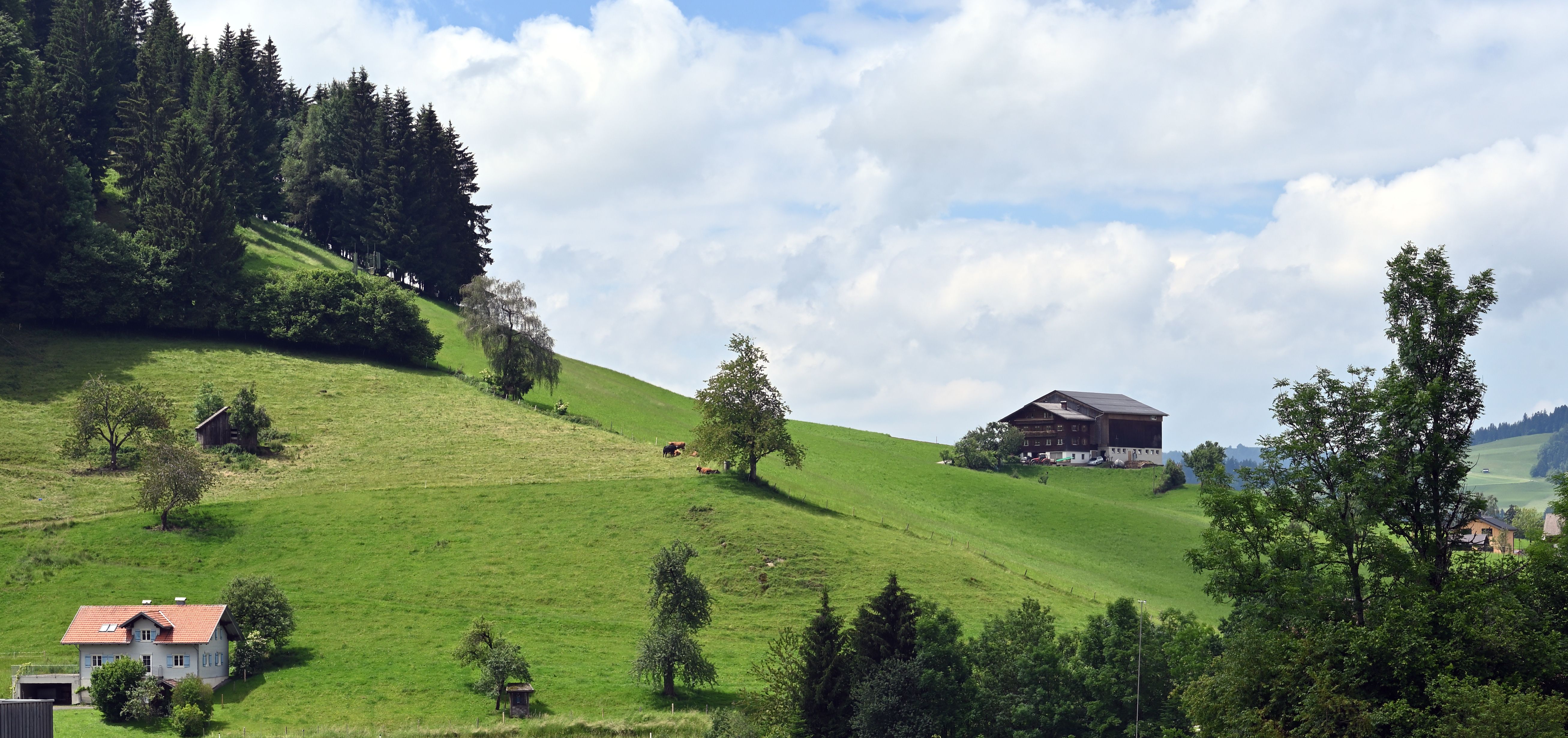 Fotomural Vista escénica de colinas verdes exuberantes y casas rústicas en Hittisau, Austria.