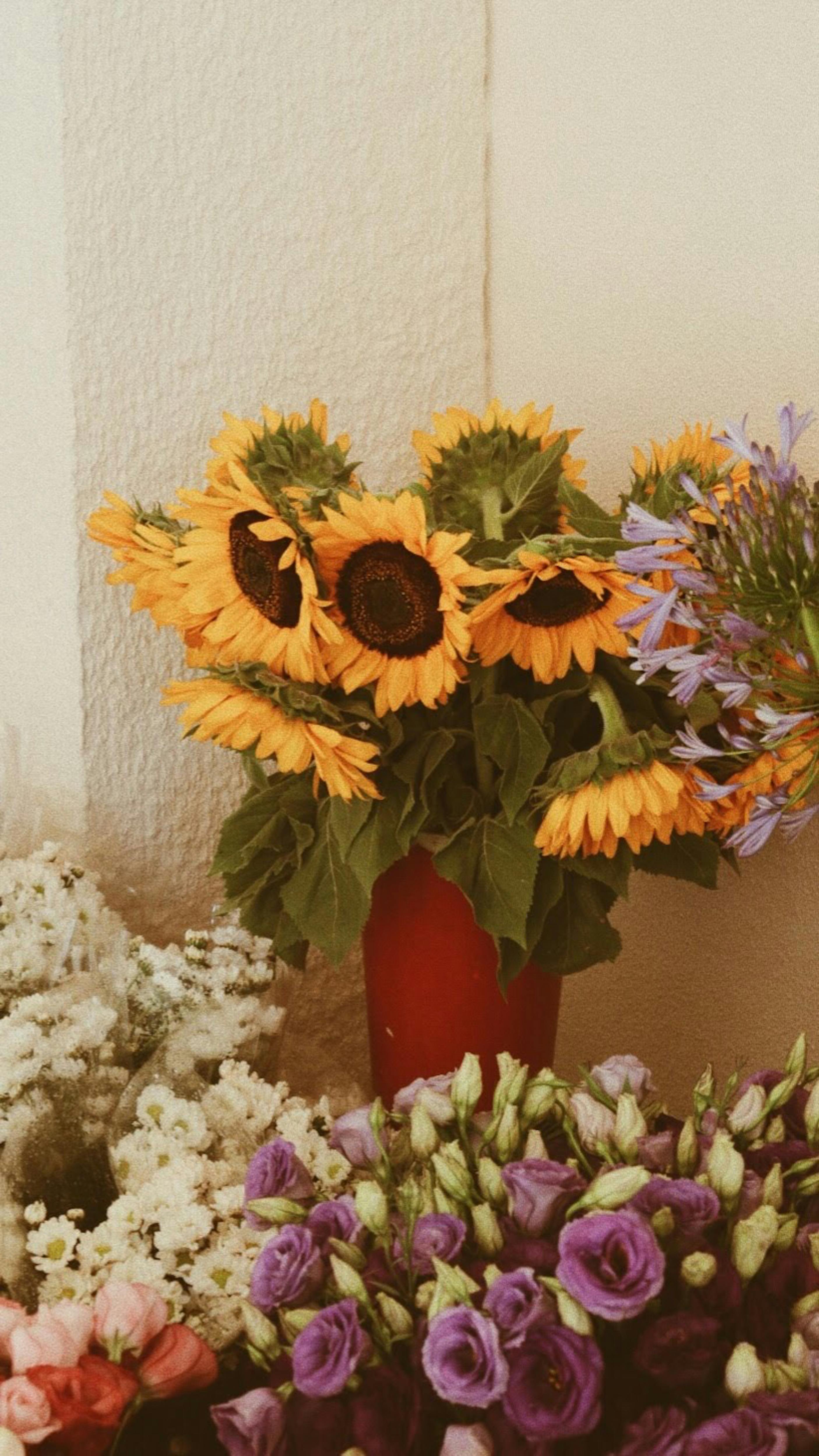 [ColoSach]-beautiful-bouquet-of-sunflowers-and-mixed-flowers-in-a-vibrant-red-vase,-perfect-for-a-summer-setting.