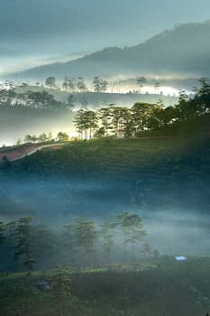 Serene misty morning view of lush green hills in Da Lat, Vietnam.
