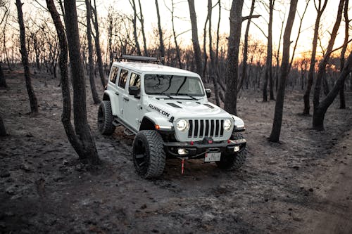 jeep rubicon 