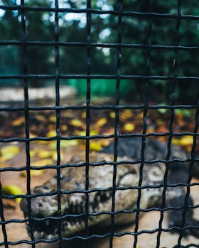 Wire mesh fence close-up with a blurred natural background, focusing on texture and depth.