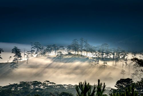 Free Serene mountain landscape with trees silhouetted in mist and fog, capturing nature's tranquility. Stock Photo