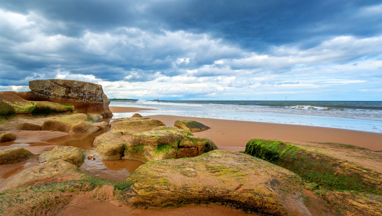 A sandy beach with rocks and green moss