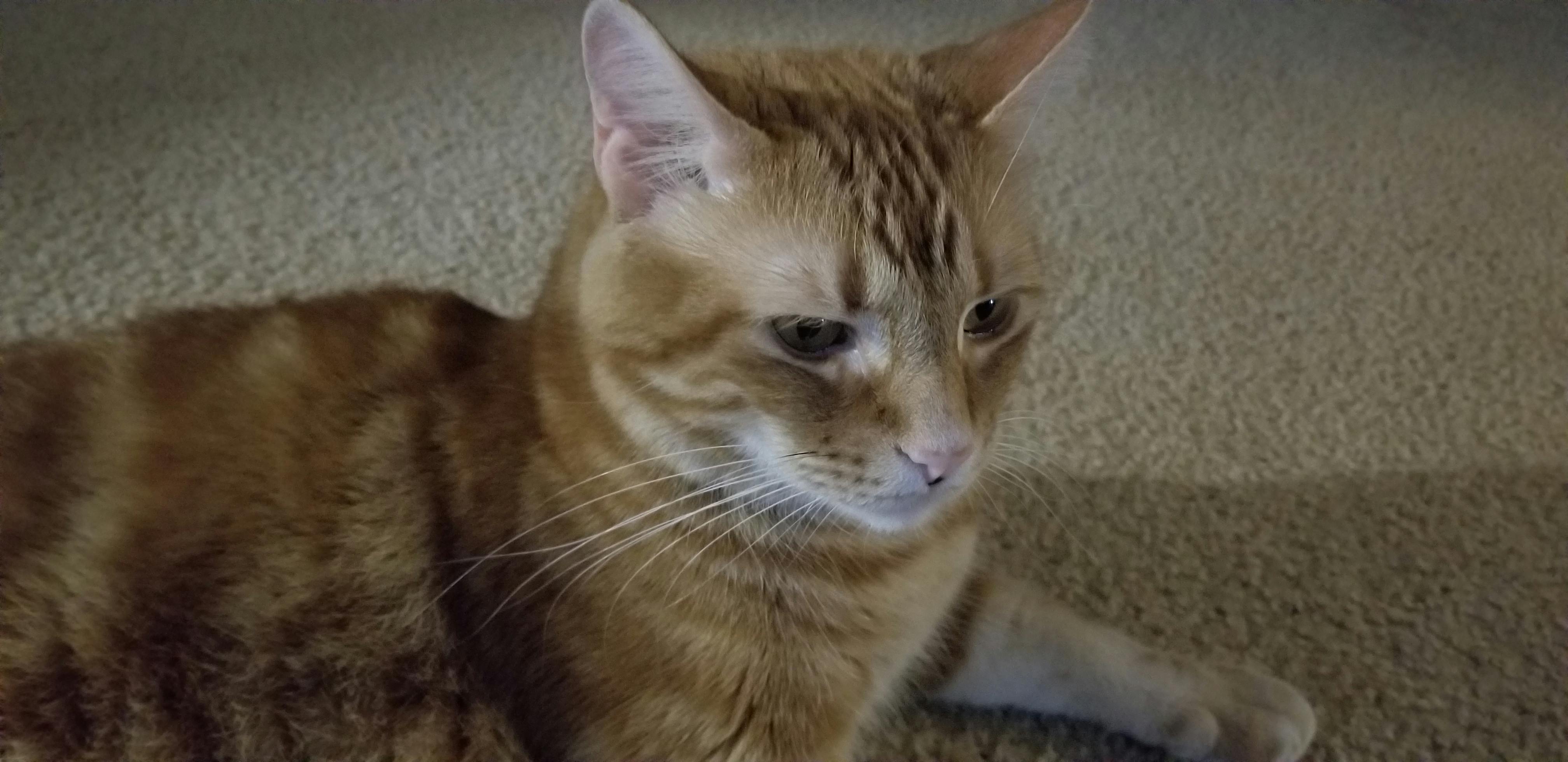 Морска екология