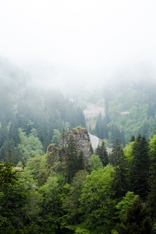 Kostnadsfri bild av berg, dimma, dimmig morgon