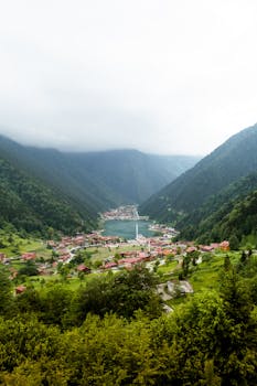 Image by birkaybolushikayesi