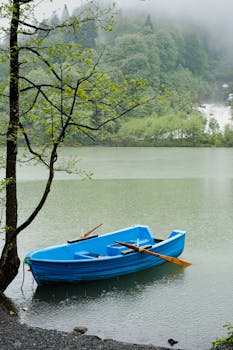 Image by birkaybolushikayesi