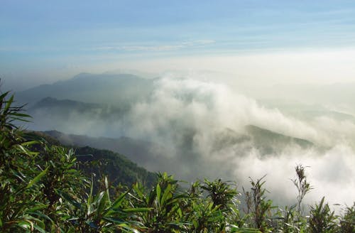 Fotos de stock gratuitas de mañana brumosa, niebla de montaña, nuevo taipei