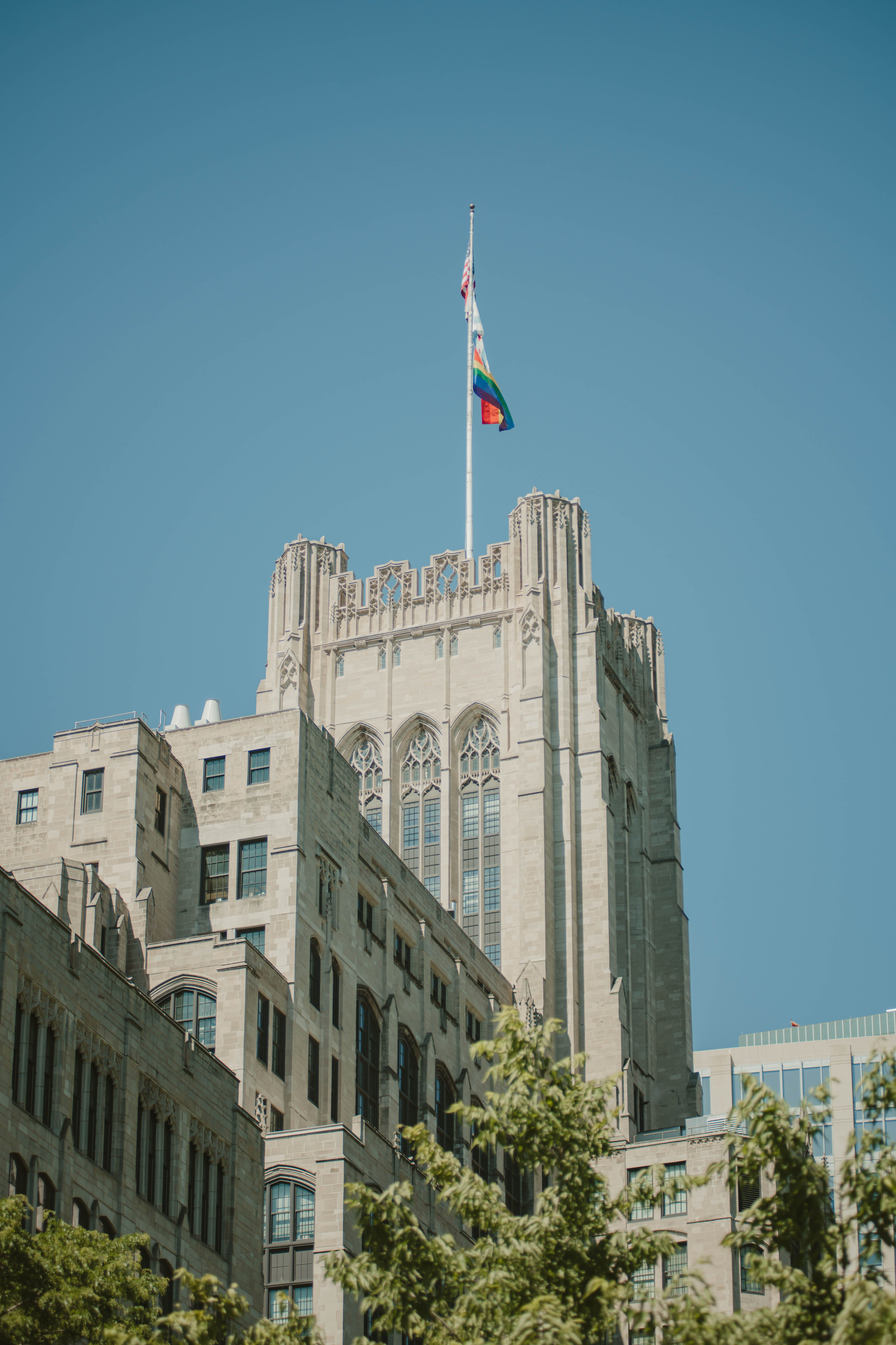 What is the role of Historically Black Colleges and Universities in the United States?