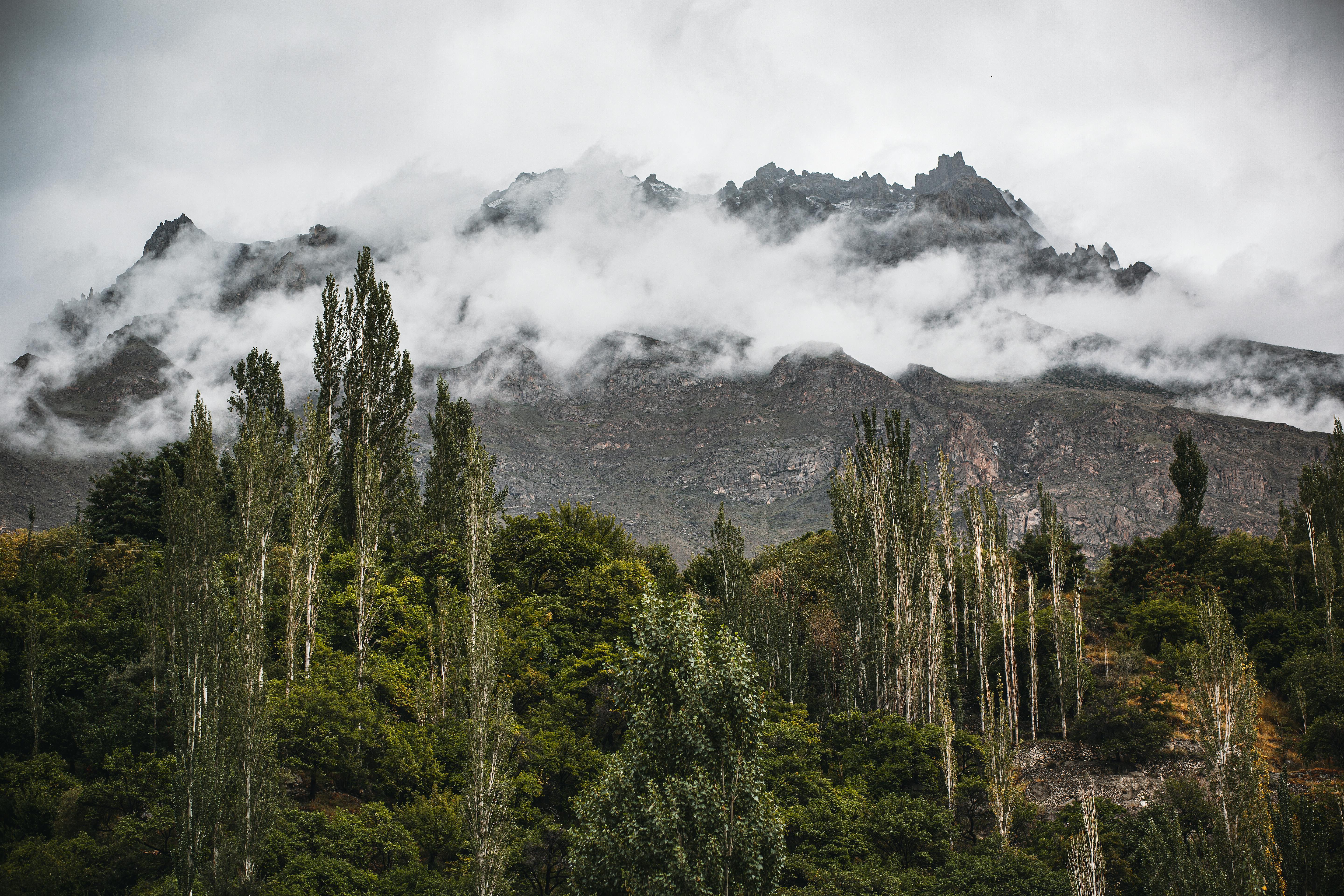 view of greenery and rocky mountains