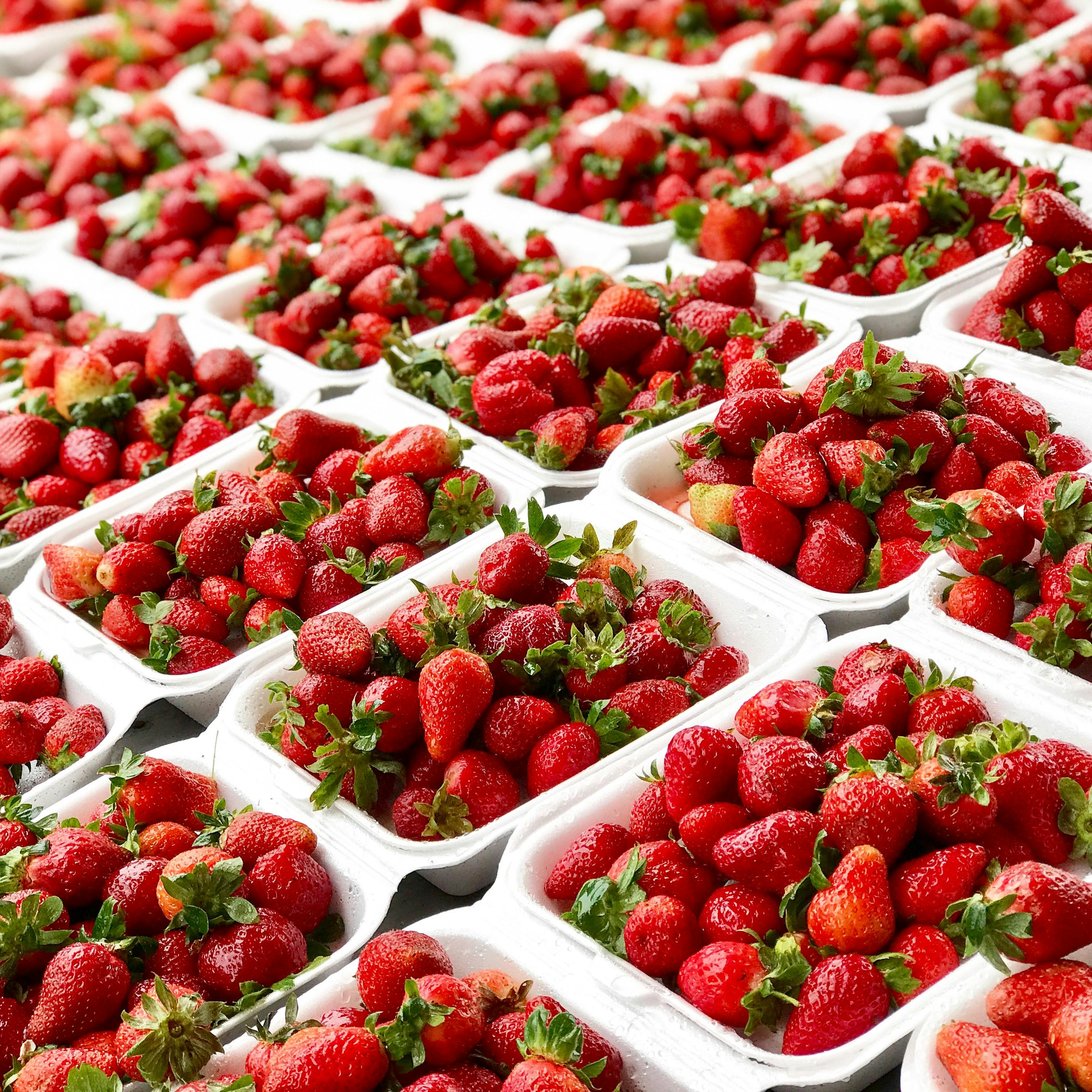 strawberries in packaging containers