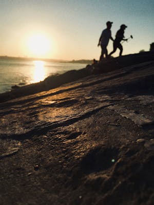 قمة المناخ العالمية تتخذ قرارات تاريخية