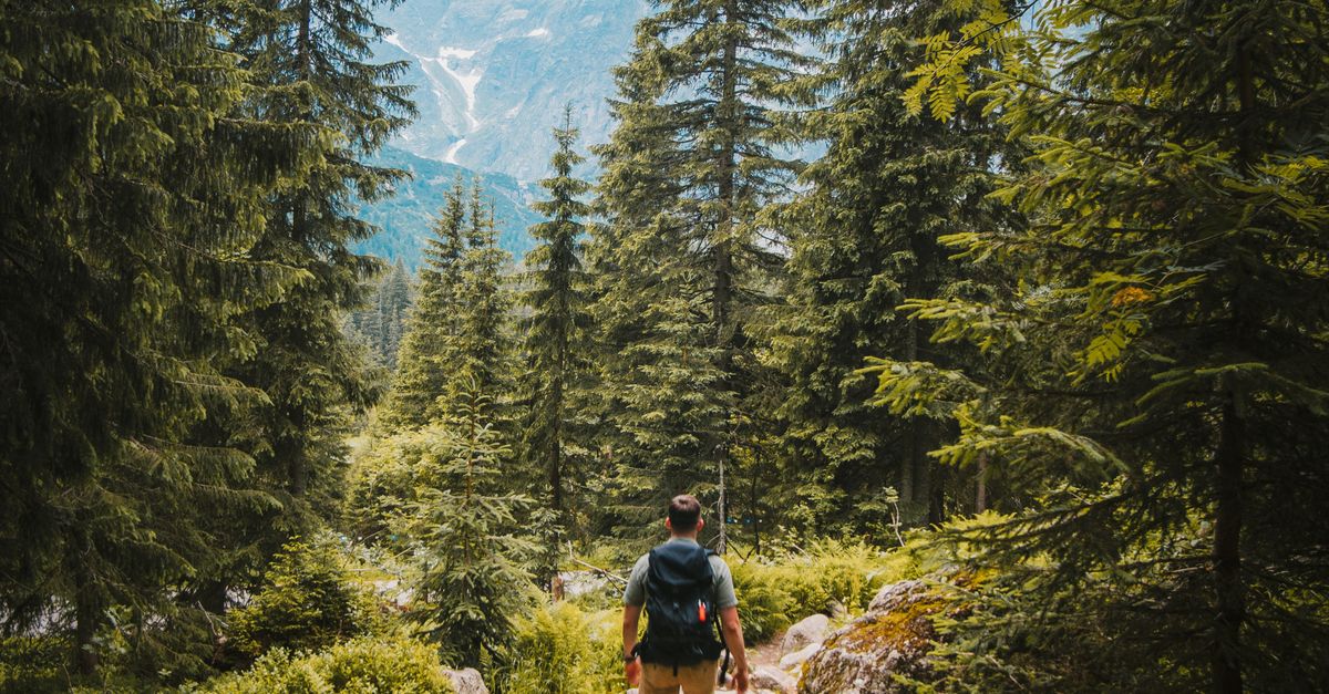 ¿Qué rutas de senderismo accesible hay cerca del Arenal para principiantes? ¿Qué rutas de senderismo accesible hay cerca del Arenal para principiantes?