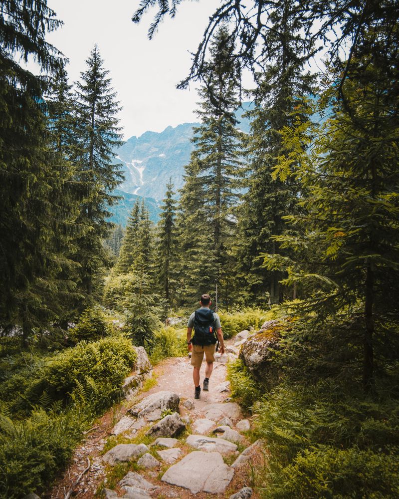 Walking vs Running: Which One Should You Actually Pick?