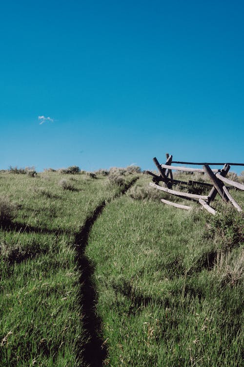 乾草地, 原本, 夏天 的 免費圖庫相片