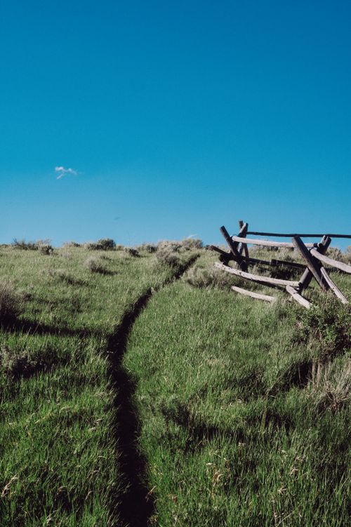 Free Peaceful countryside scene featuring a grassy path and old wooden fence under a clear blue sky. Stock Photo