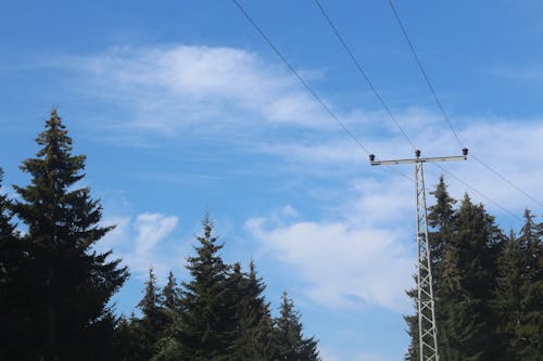 Бесплатное стоковое фото с голубое небо, линии электропередачи, снимок снизу