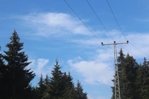 Free stock photo of açık, ağaç, blue sky