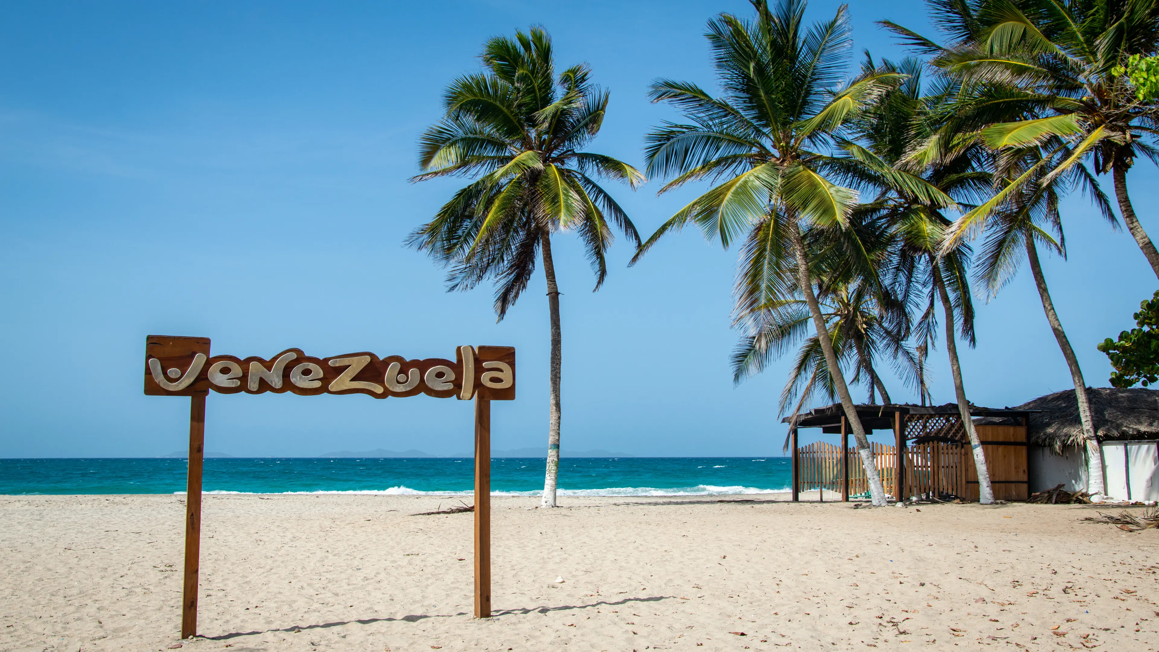 Breathtaking tropical beach in Venezuela featuring palm trees, a clear blue sky, and a sandy shore.