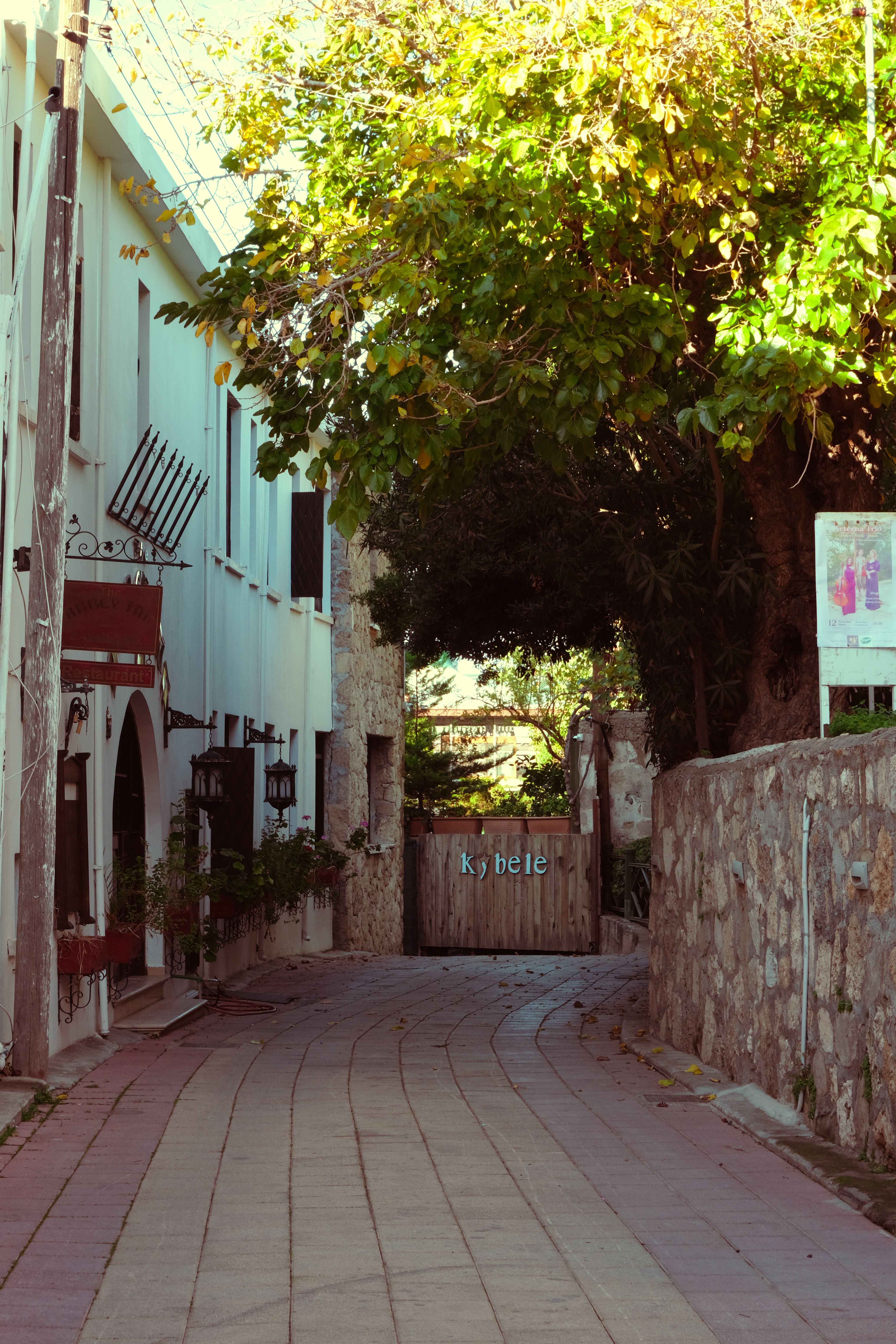 A picturesque street in Kıbrıs featuring stone walls and lush greenery under the clear daylight.
