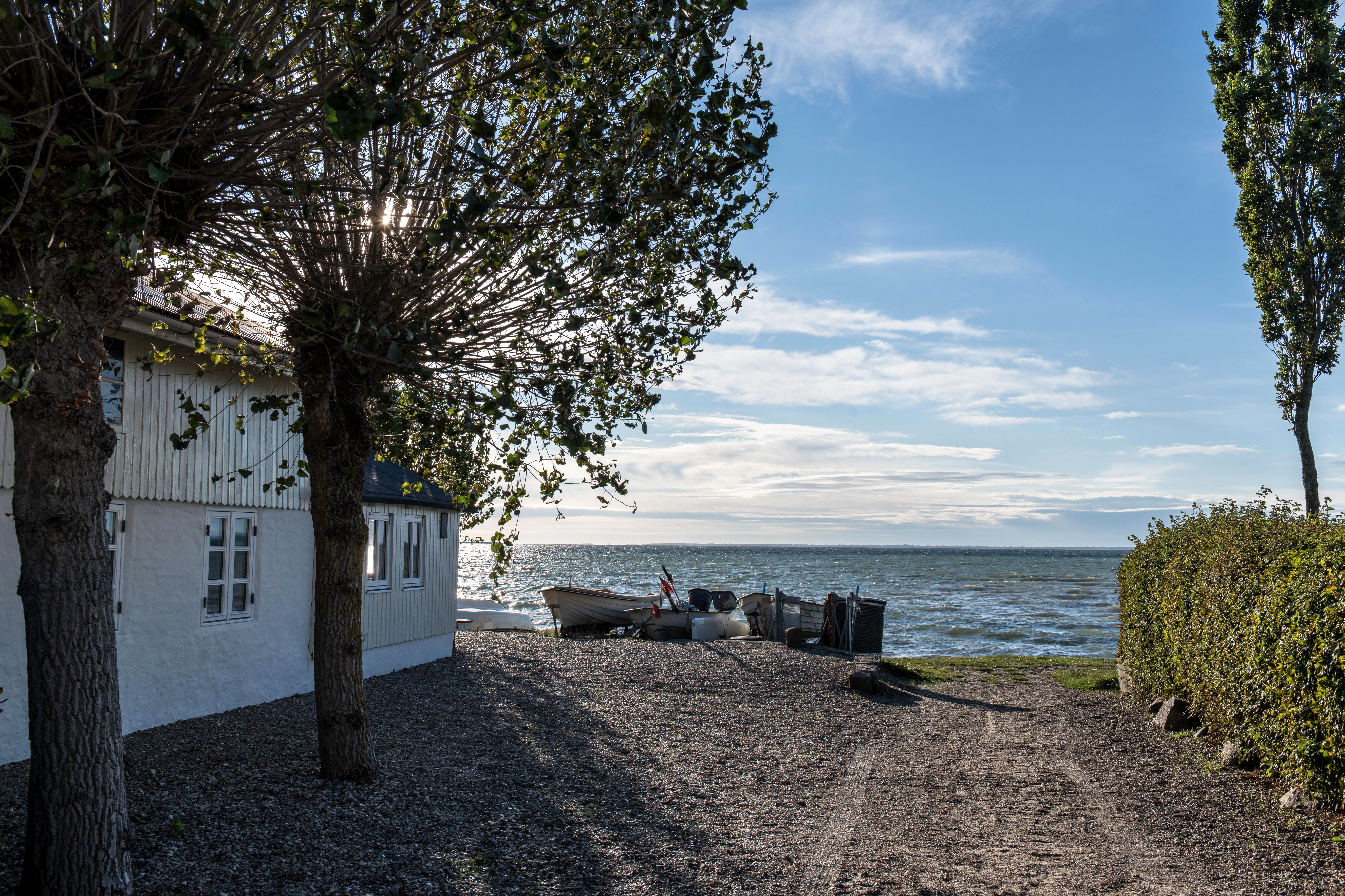 Photos gratuites de arbres, bateau, bâtiment