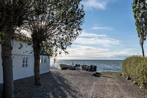 丹麥, 公園, 在海邊 的 免费素材图片