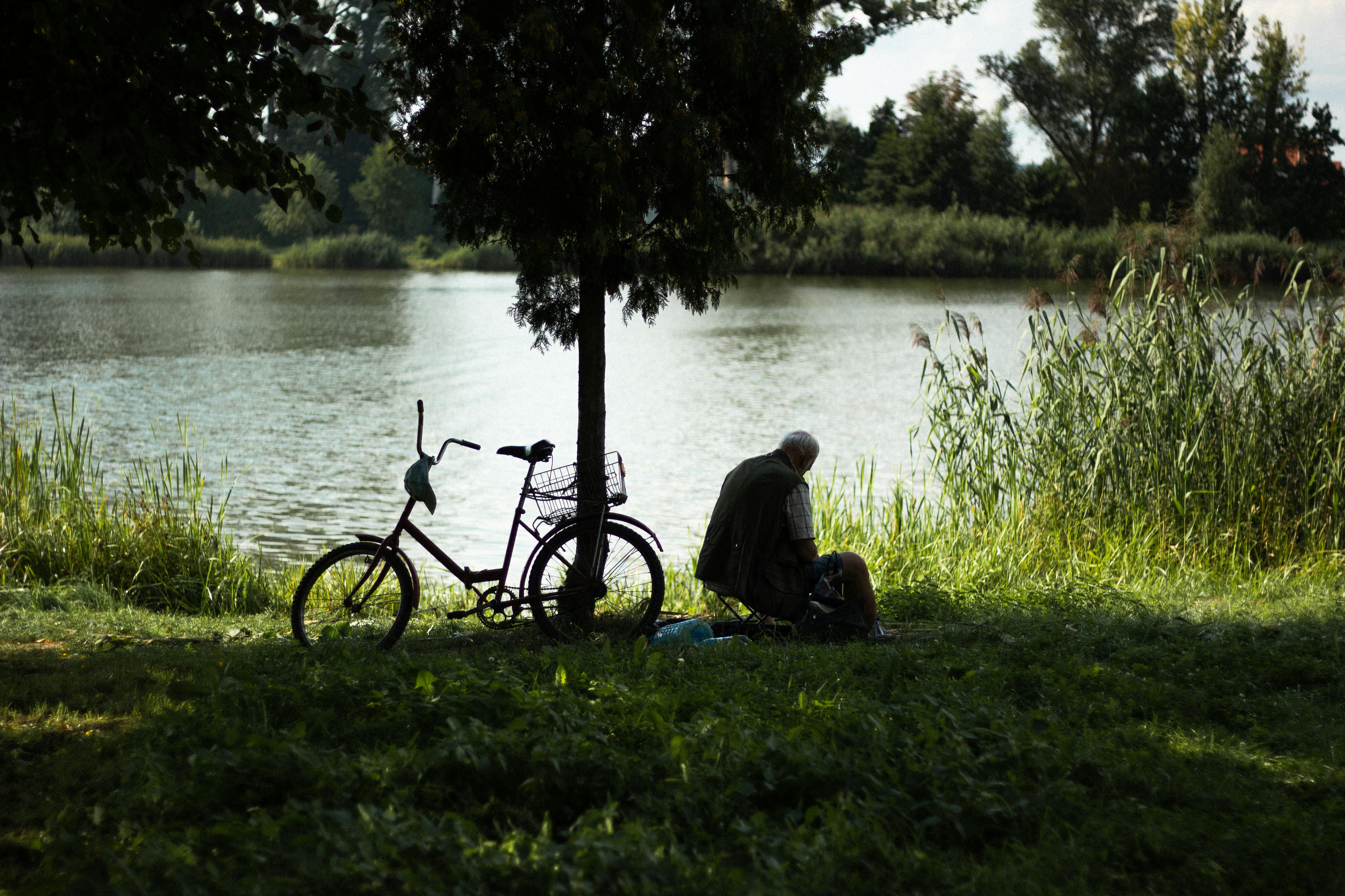 A man sitting beside a bicycle under a tree by the lake during summer, enjoying leisure time.