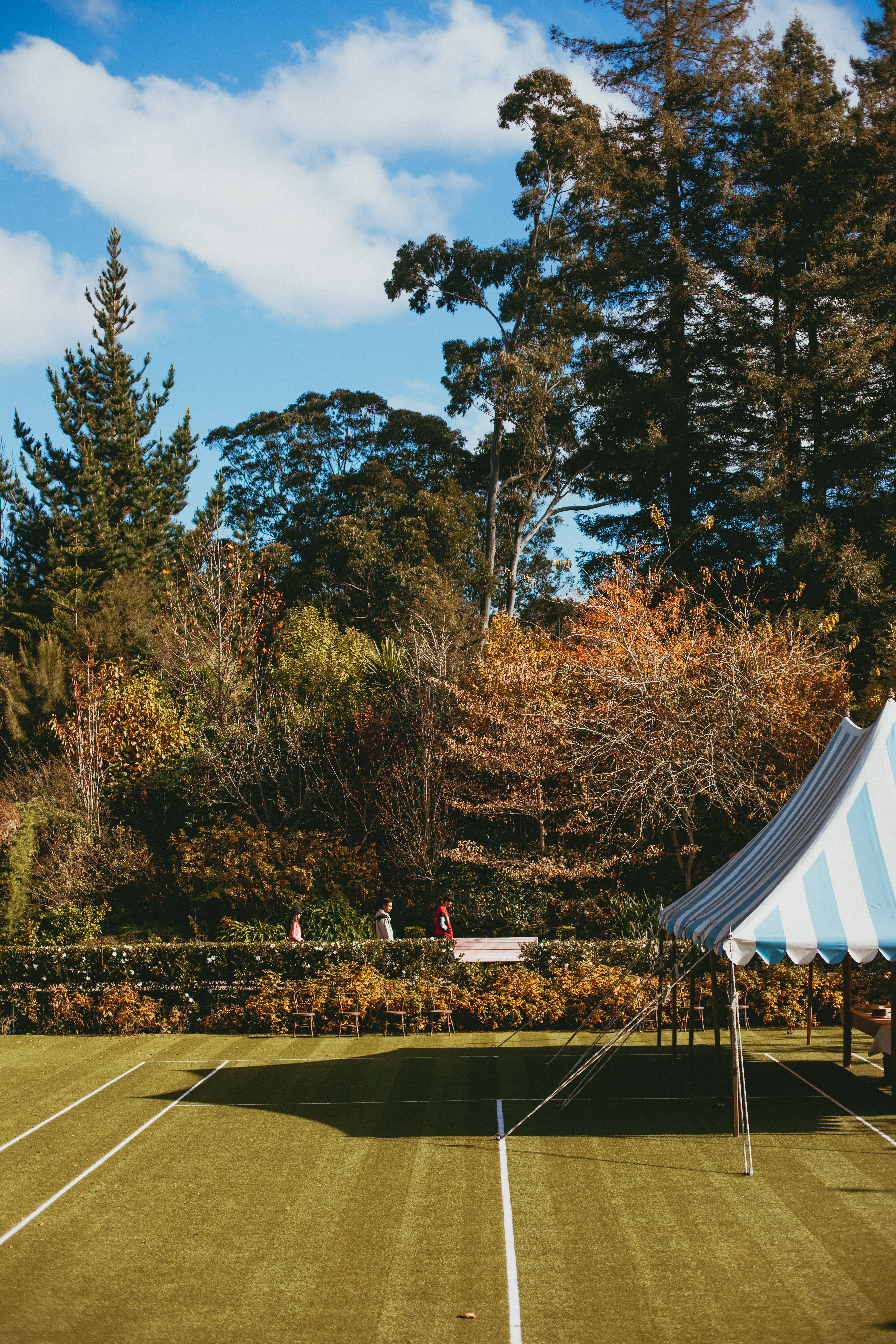 The Art Of Lawn Tennis