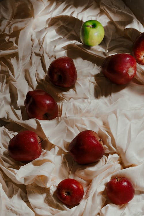 Photos gratuites de aliments, apple, automne