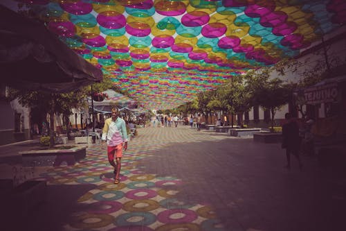 Free stock photo of man, walking