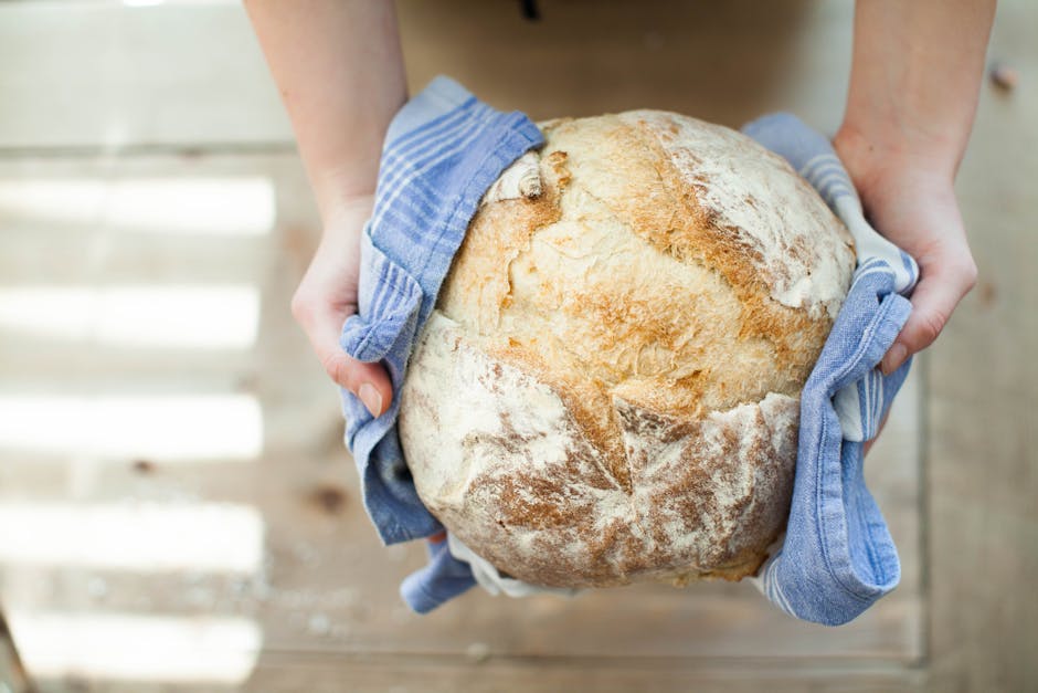 bread, food, fresh