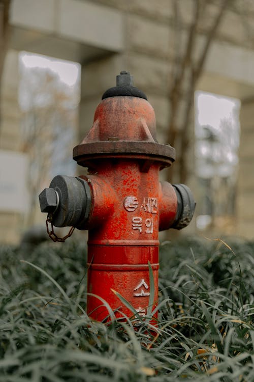 A red fire hydrant sitting in the grass