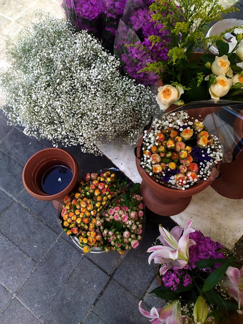 flowers içeren Ücretsiz stok fotoğraf