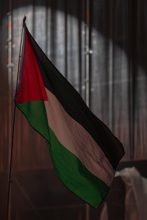 Foto stok gratis bendera, bendera palestina, gaza