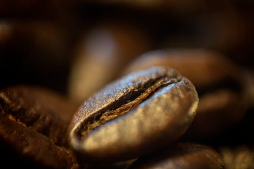 Free stock photo of bean, close-up, coffee