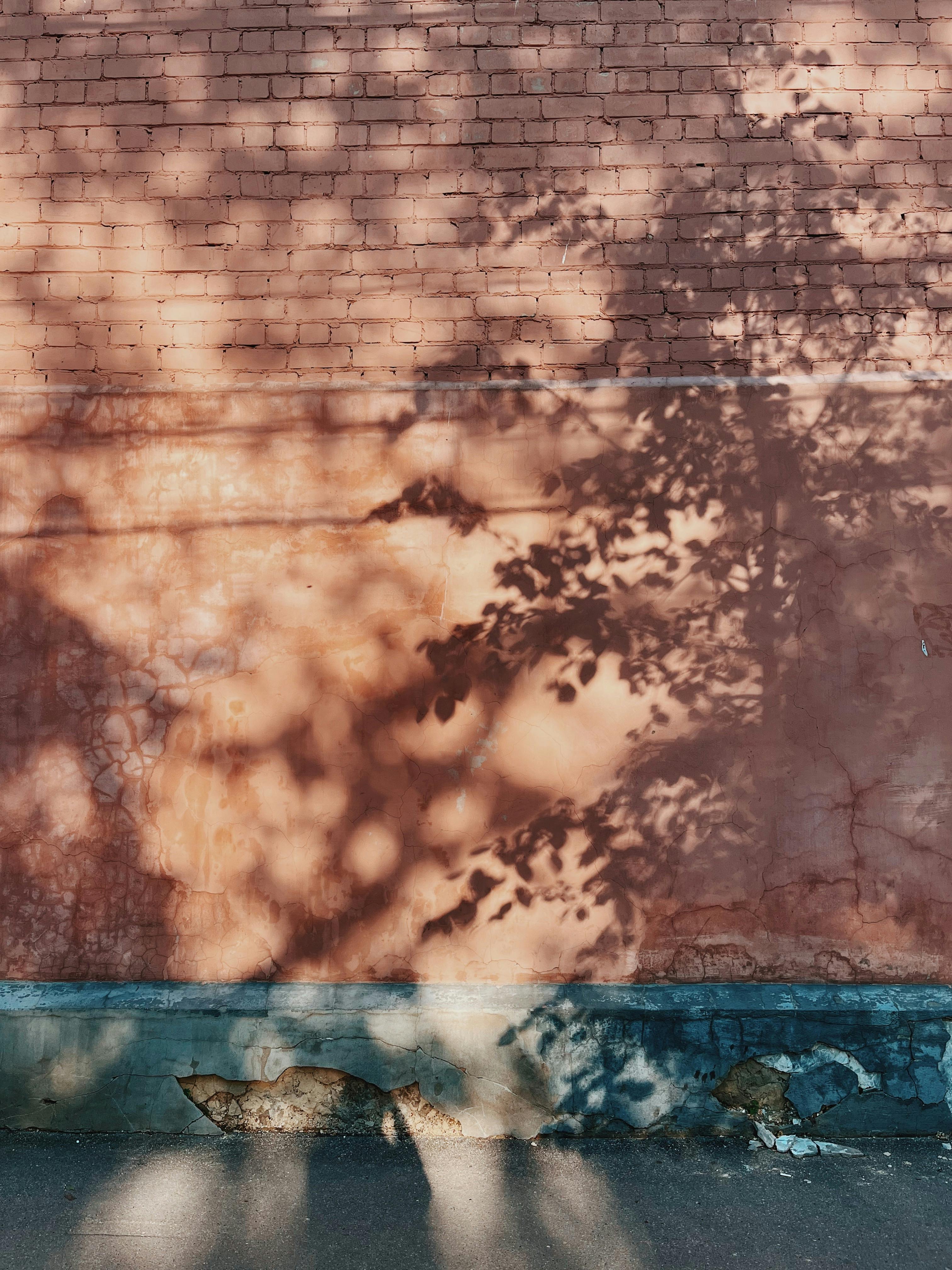 bezplatná Základová fotografie zdarma na téma architektura, cement, červená cihla Základová fotografie