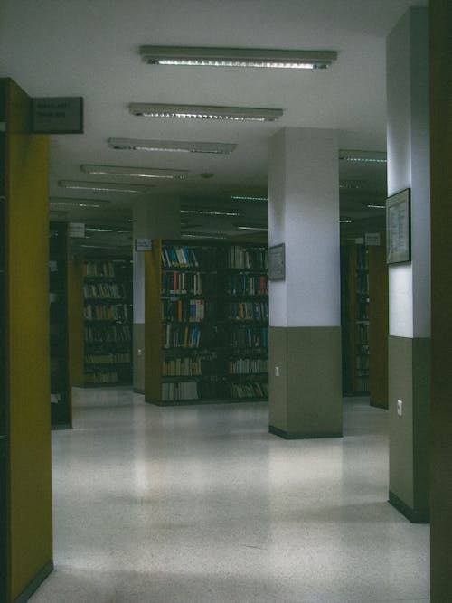 A long hallway with bookshelves and lights