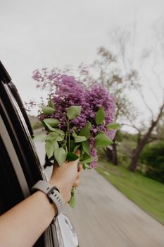 A person extends a vibrant purple flower bouquet out of a moving car, exhibiting freedom and nature.