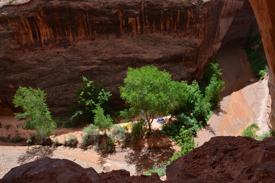 Breathtaking aerial shot of a lush green campsite nestled in a rocky canyon landscape under the sun.