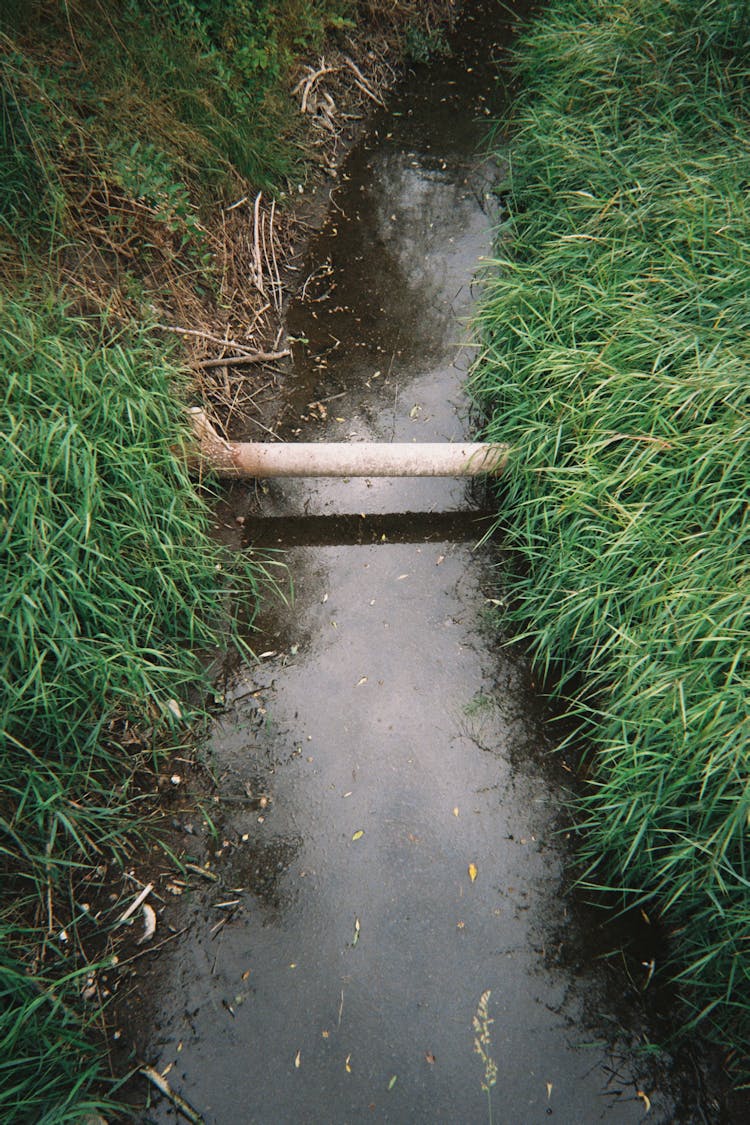 Pole By The Little Stream