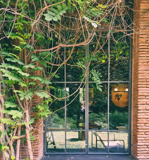 Free stock photo of cafÃ preto, reflection, windowpane Stock Photo