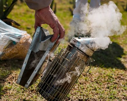 A beekeeper holding a smoking device in the field