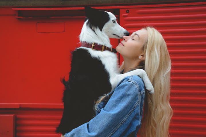 A woman lovingly holds her Border Collie against a vibrant red backdrop.