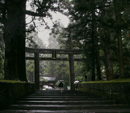 Free A tranquil Shinto shrine entrance in a misty forest with visitors under umbrellas walking up stone steps. Stock Photo