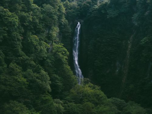 Free Aerial view of a stunning waterfall cascading through lush green forested cliffs. Stock Photo