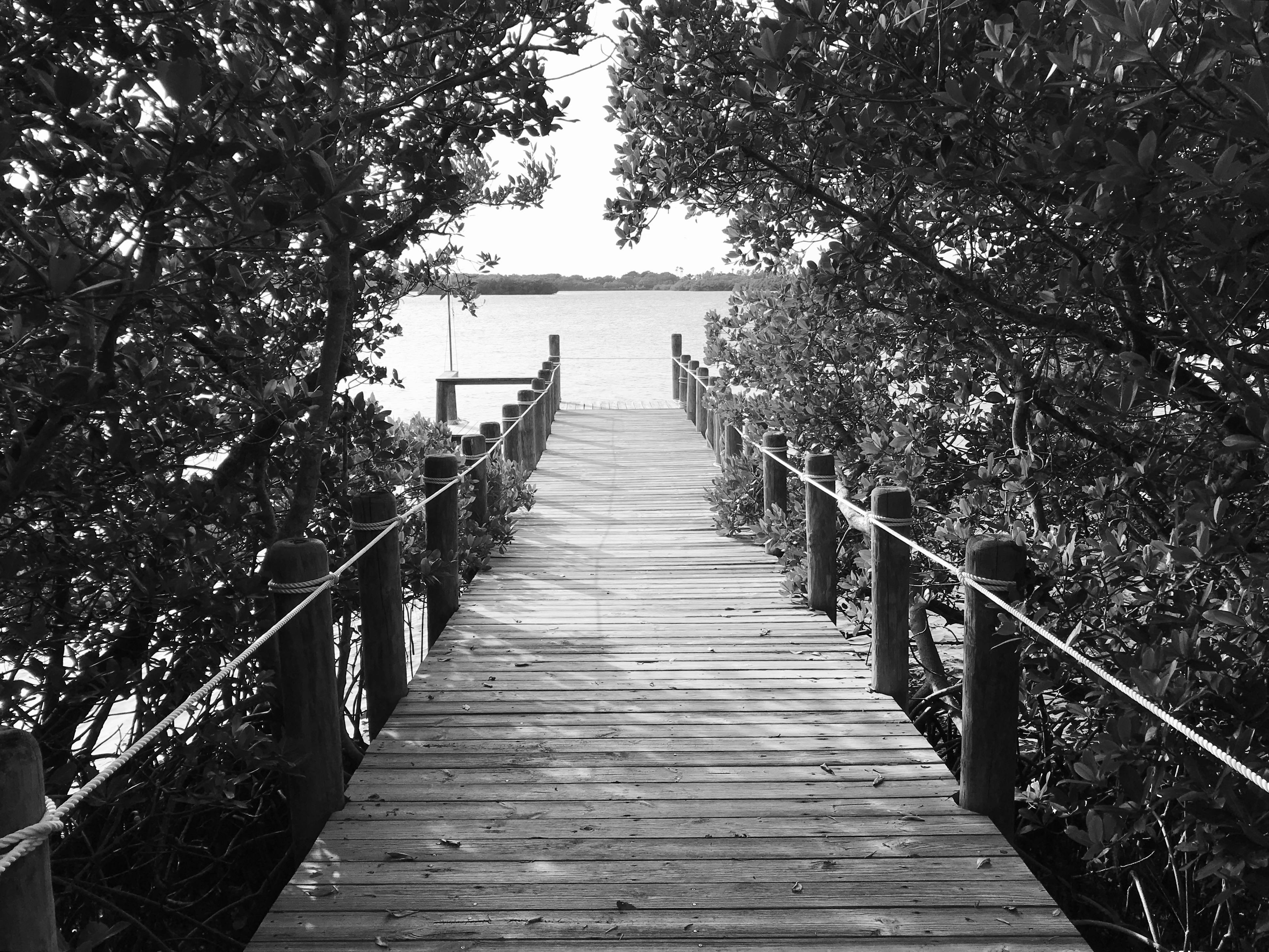 Tourist Places Near Nagpur Within 50 Km