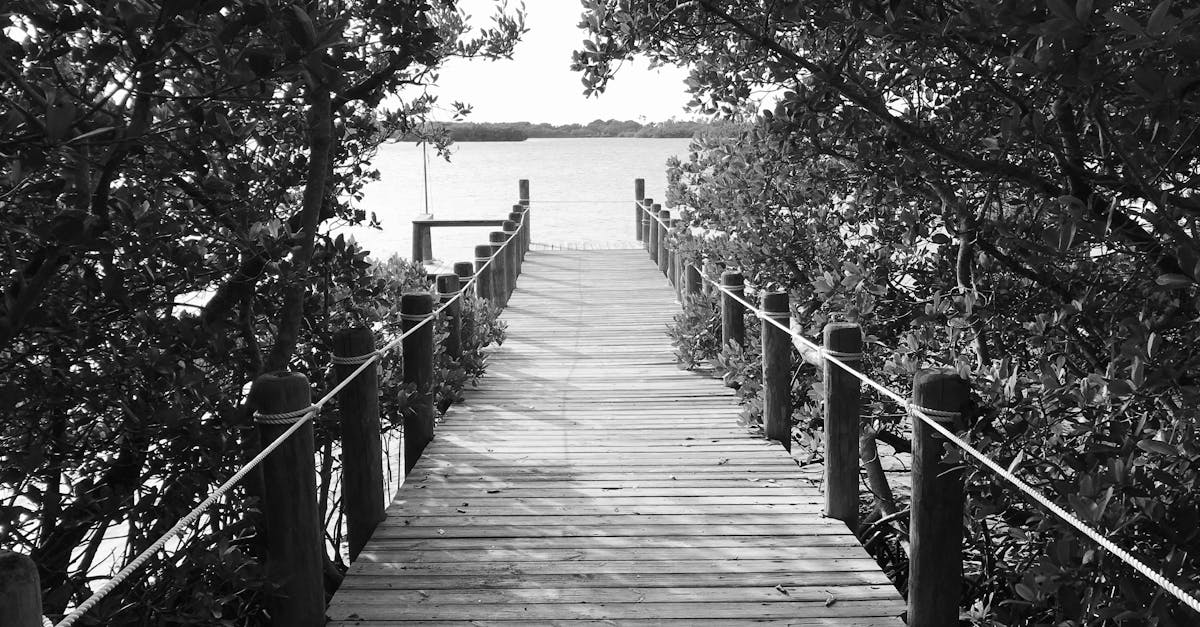 Tourist Places Near Nagpur Within 50 Km Tourist Places Near Nagpur Within 50 Km