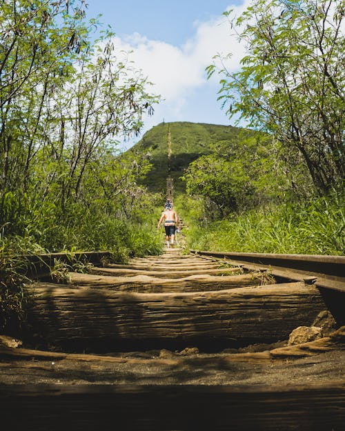 Fotobanka s bezplatnými fotkami na tému cesta je cieľ, chodník kokohead, Havaj