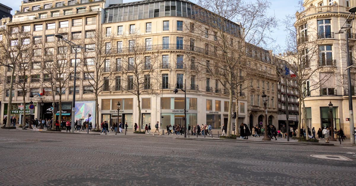 Champs-Élysées Paris Street With Grand Plane Trees Luxury Boutiques Theaters Cafes